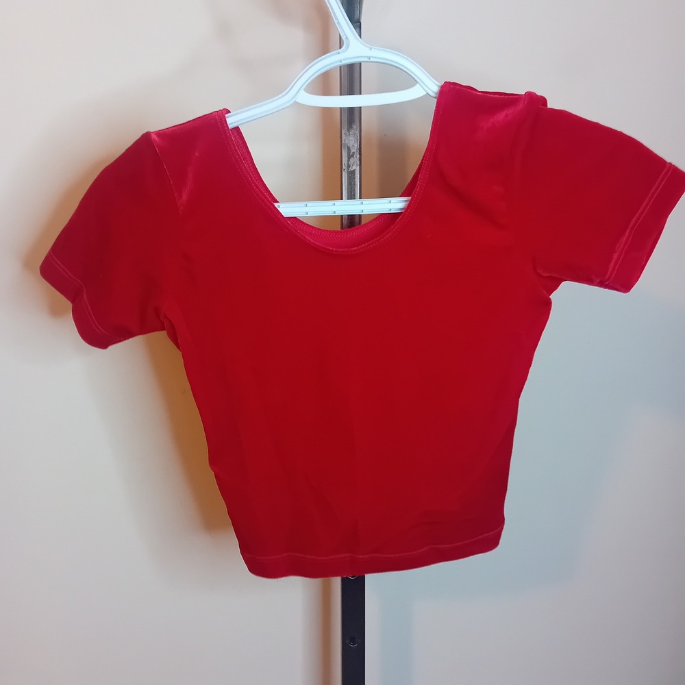 NWT Y2K American Apparel Velvet Crop Top Short Sleeve Tee Shirt Bloody Red‎ XS - Picture 12 of 16